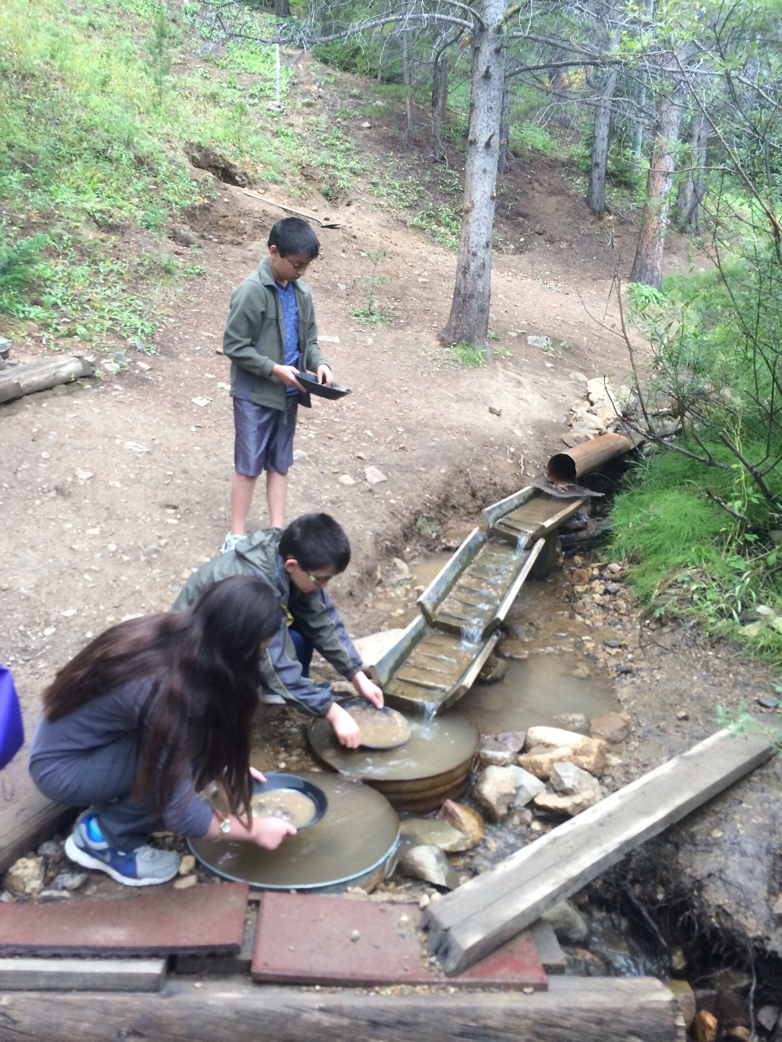 Gold Panning in Lomax Gulch