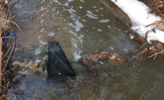 Creek Fever  Tactics and Tools for the Small Stream - Telluride