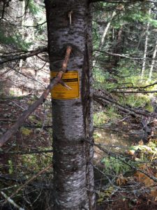 Federal Mining Claim corner marker